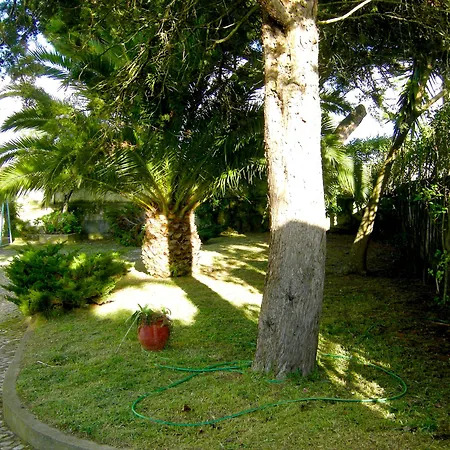 Pine House Hotel 3*