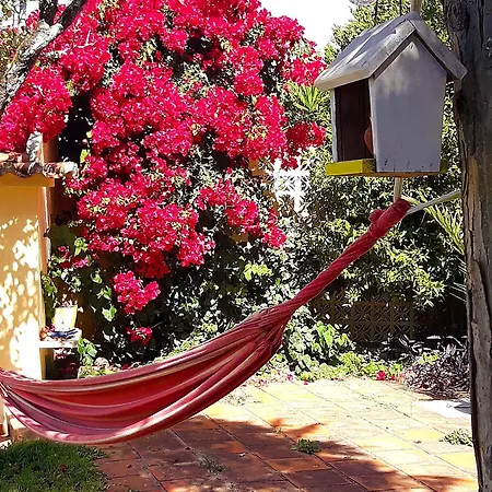 Pine House 3* Mem Martins